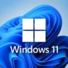 WINDOWS 11 PRO LIFETIME 32BIT/64BIT