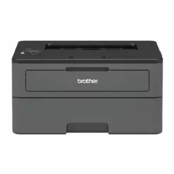 Brother HL-L2351DW Auto Duplex Laser Printer