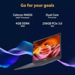 ASUS Vivobook Go 15
