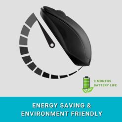 Rapoo 1620 Wireless Mouse