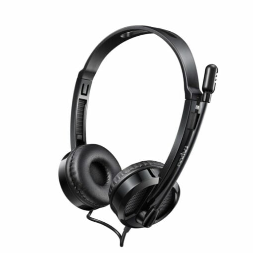 Rapoo H100 Wired Stereo Headphones Price in India