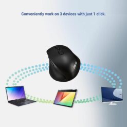 ASUS MW203 Wireless Mouse Price in India