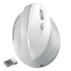 Portronics Toad Ergo 4 rechargeable vertical mouse for laptop in India. Ergonomic design, dual connectivity, adjustable DPI, EMI and Debit Card EMI.