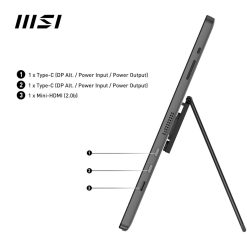 MSI PRO MP161 E2 15.6 inches Full HD Monitor