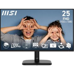 MSI PRO MP251L E2 24.5 Inch Full HD IPS Monitor