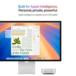 Apple Mac Mini M4 Pro 48GB RAM 512GB SSD Desktop PC